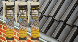 roof_gutter_pond_repair